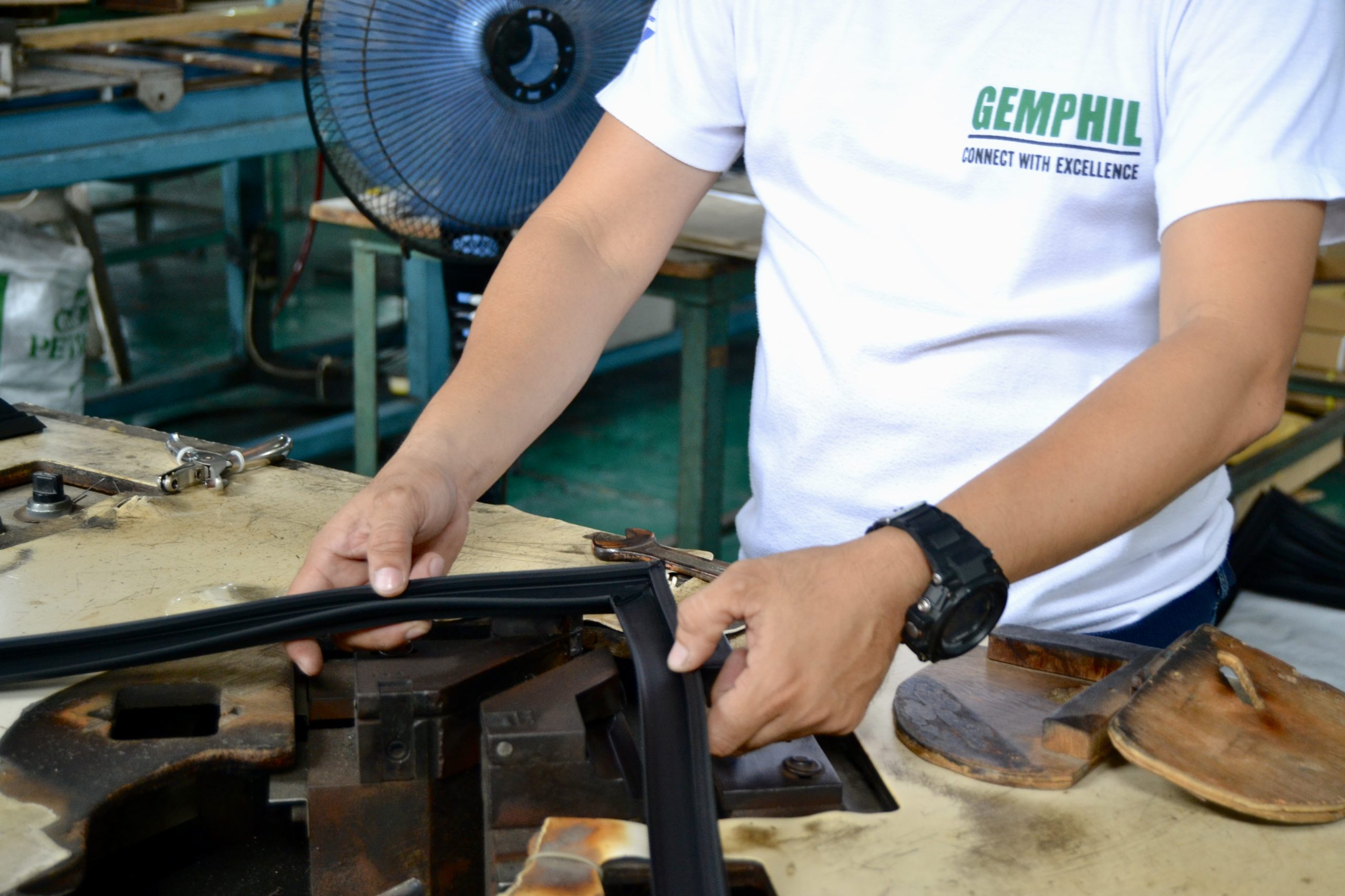 Gasket Extrusion